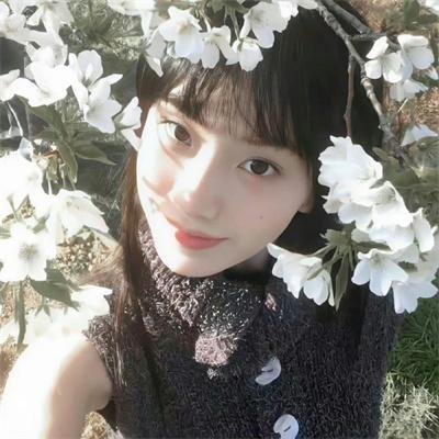 巡回检察组