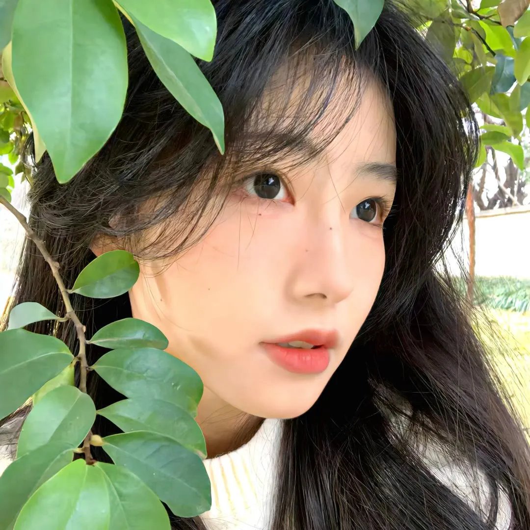 欢乐教堂